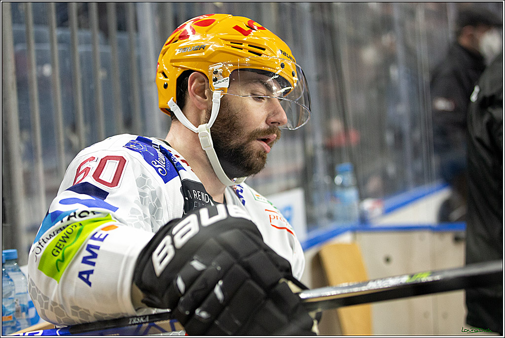 PENNY DEL; Koelner Haie- Fishtown Pinguins Bremerhaven; Koeln, 23.11.2021